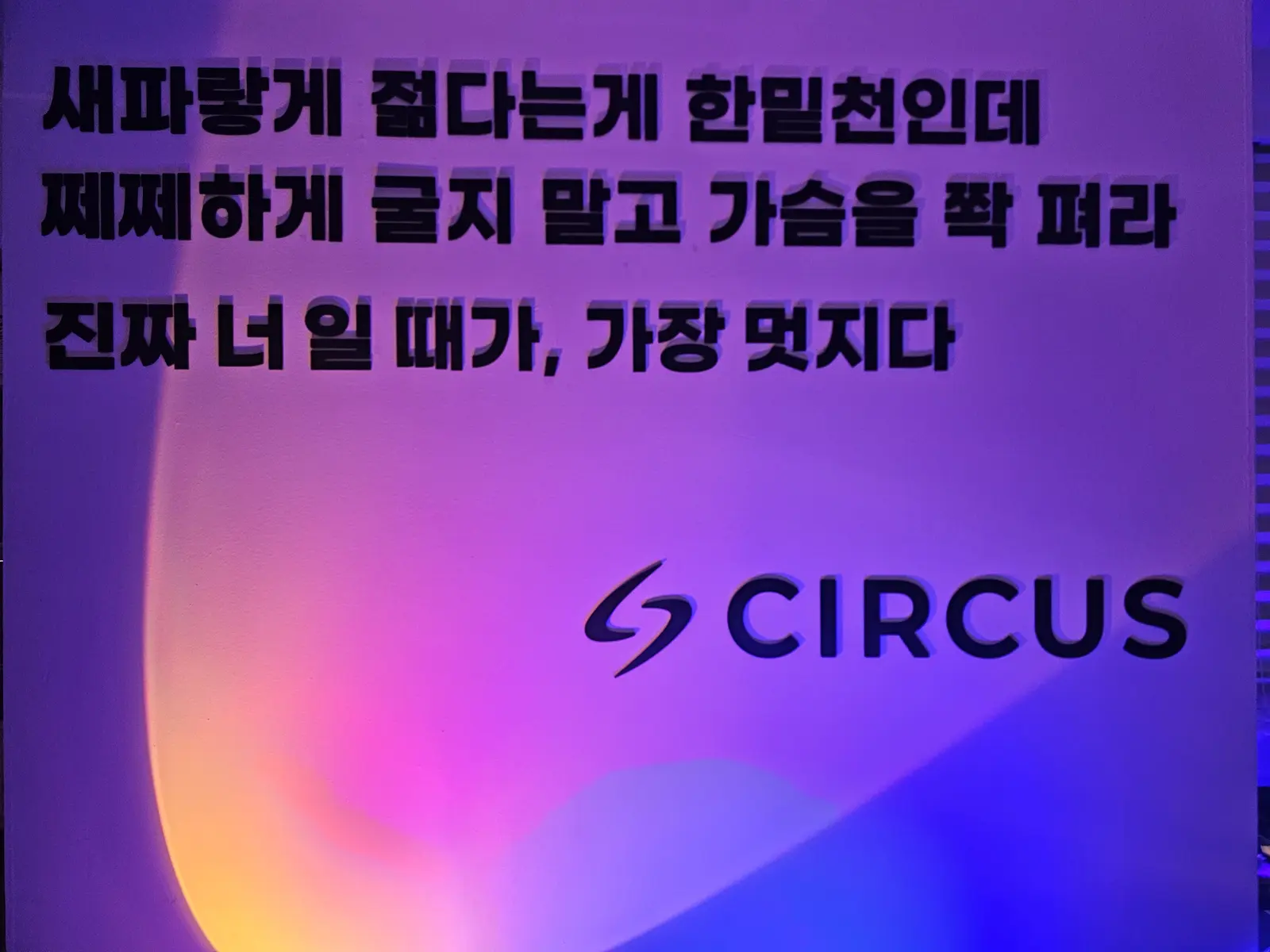 서커스컴퍼니 스튜디오 벽에 적힌 문장과 CIRCUS 로고